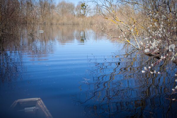 Подъем воды в гомеле. Половодье в Беларуси сегодня. Весеннее половодье озеро реки картинки. Фото наводнения на Гомельщине 2023 году РБ. Наводнение в Бресте Козловичи сегодня.
