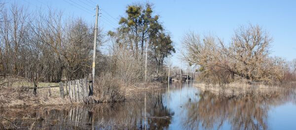 Паводок в Гомельской области - Sputnik Беларусь