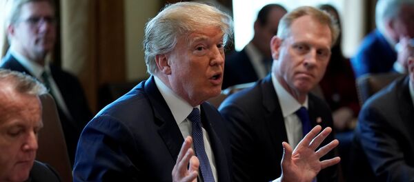 Президент США Дональд Трамп на совещании в Белом доме - Sputnik Беларусь