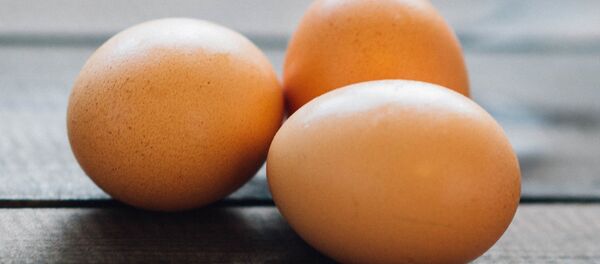 Яйца - Sputnik Беларусь