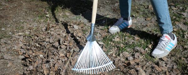 Субботник в парке, архивное фото Субботник в парке, архивное фото - Sputnik Беларусь