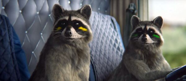 Яноты з сацыяльнай рэкламы Яноты з сацыяльнай рэкламы - Sputnik Беларусь