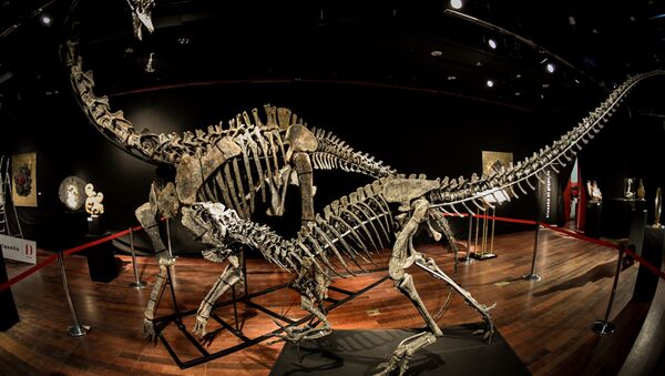 Скелет динозавра продали в Париже - Sputnik Беларусь