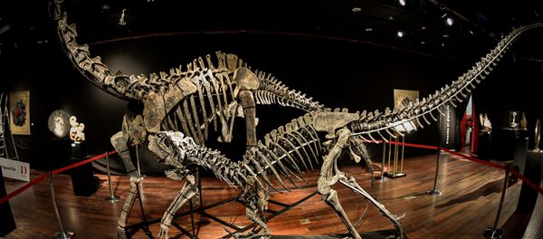 Скелет динозавра продали в Париже - Sputnik Беларусь
