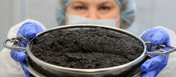 Белорусская черная икра - Sputnik Беларусь