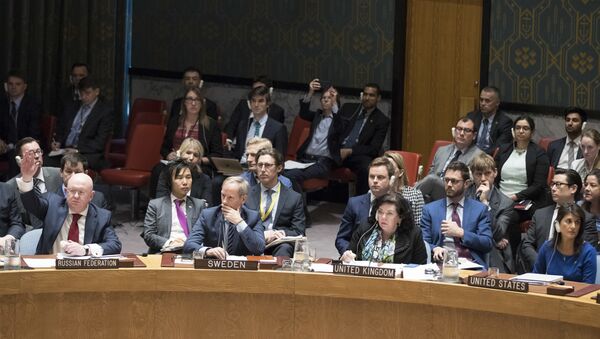 Заседание Совета безопасности ООН - Sputnik Беларусь