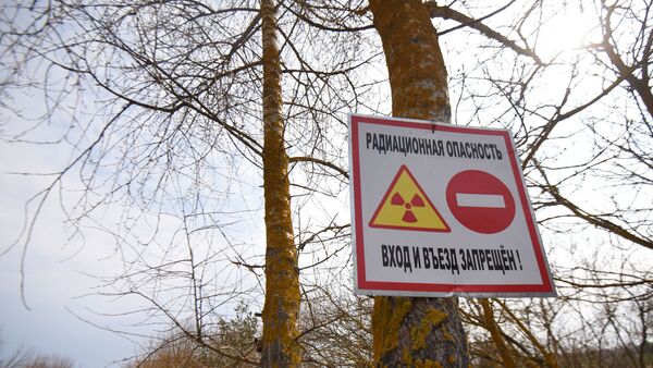 Зубры і саркафаг у добрае надвор'е: падрабязнасці тураў у зону адчужэння - Sputnik Беларусь