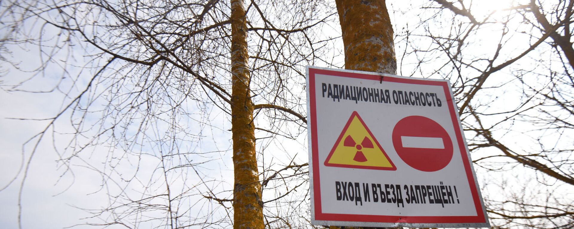 Зубры і саркафаг у добрае надвор'е: падрабязнасці тураў у зону адчужэння - Sputnik Беларусь, 1920, 16.04.2019