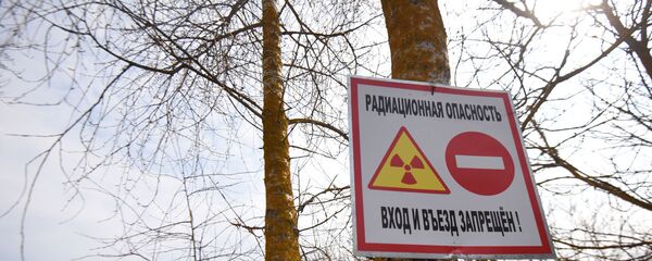 Цезий-137 – основной радиоактивный элемент, которым загрязнена территория Беларуси - Sputnik Беларусь