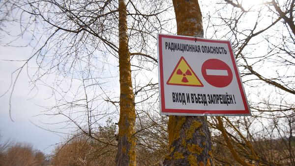 Знак радиационной опасности, архивное фото - Sputnik Беларусь