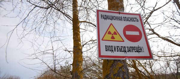 Цезий-137 – основной радиоактивный элемент, которым загрязнена территория Беларуси - Sputnik Беларусь