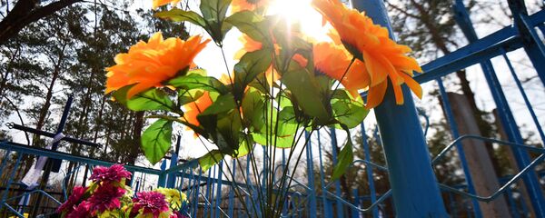 Убрать могилы предков едут изгнанные радиацией уроженцы земель, где до сих пор тревожно пищит дозиметр - Sputnik Беларусь