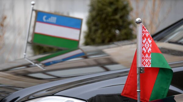 Флаги на автомобилях послов Узбекистана и Беларуси - Sputnik Беларусь