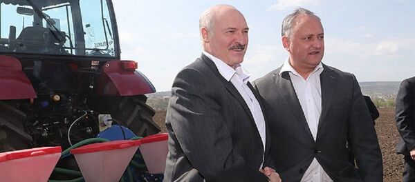 Президент Беларуси Александр Лукашенко и президент Молдовы Игорь Додон Президент Беларуси Александр Лукашенко и президент Молдовы Игорь Додон - Sputnik Беларусь