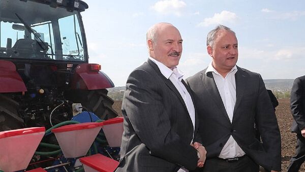 Президент Беларуси Александр Лукашенко и президент Молдовы Игорь Додон - Sputnik Беларусь
