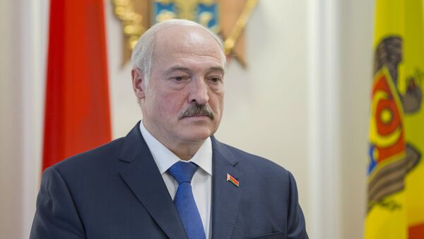 Александр Лукашенко, архивное фото - Sputnik Беларусь
