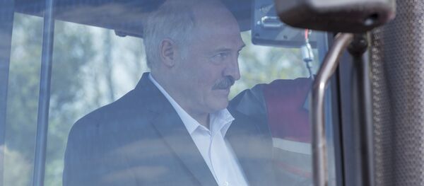 Аляксандр Лукашэнка ў кабіне трактара Аляксандр Лукашэнка ў кабіне трактара - Sputnik Беларусь