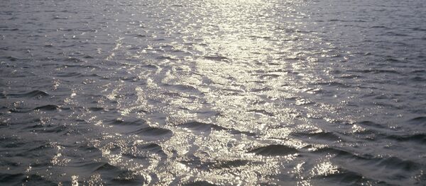 На рацэ Прыпяць, архіўнае фота - Sputnik Беларусь