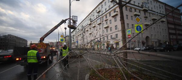 Последствия урагана в Москве Последствия урагана в Москве - Sputnik Беларусь