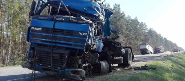 Место ДТП под Житковичами - Sputnik Беларусь