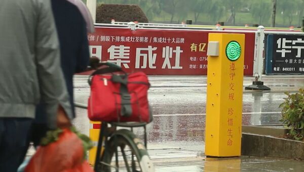 В Китае установили светофор, поливающий водой пешеходов-нарушителей - Sputnik Беларусь