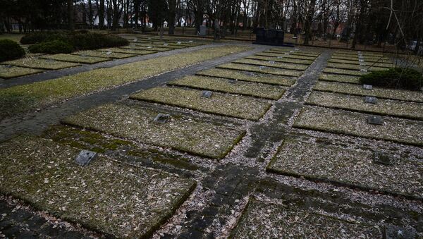 Военное кладбище в Польше, архивное фото - Sputnik Беларусь