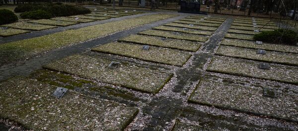 Военное кладбище в Польше, архивное фото - Sputnik Беларусь