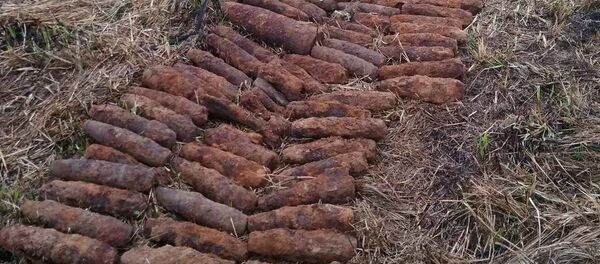 170 снарядов времен Великой Отечественной войны - Sputnik Беларусь