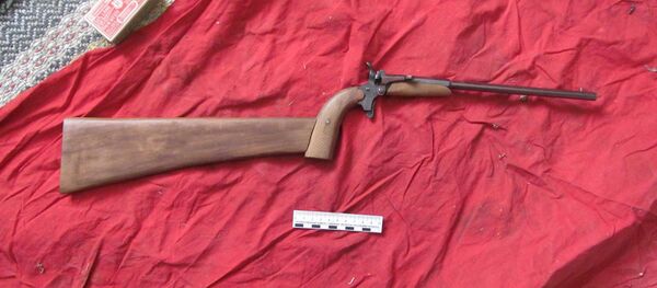 Знойдзены на гарышчы пісталет Знойдзены на гарышчы пісталет - Sputnik Беларусь