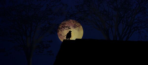 Луна, архивное фото - Sputnik Беларусь