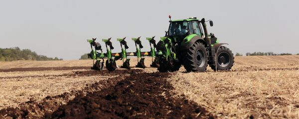 Пасяўная, архіўнае фота Пасяўная, архіўнае фота - Sputnik Беларусь