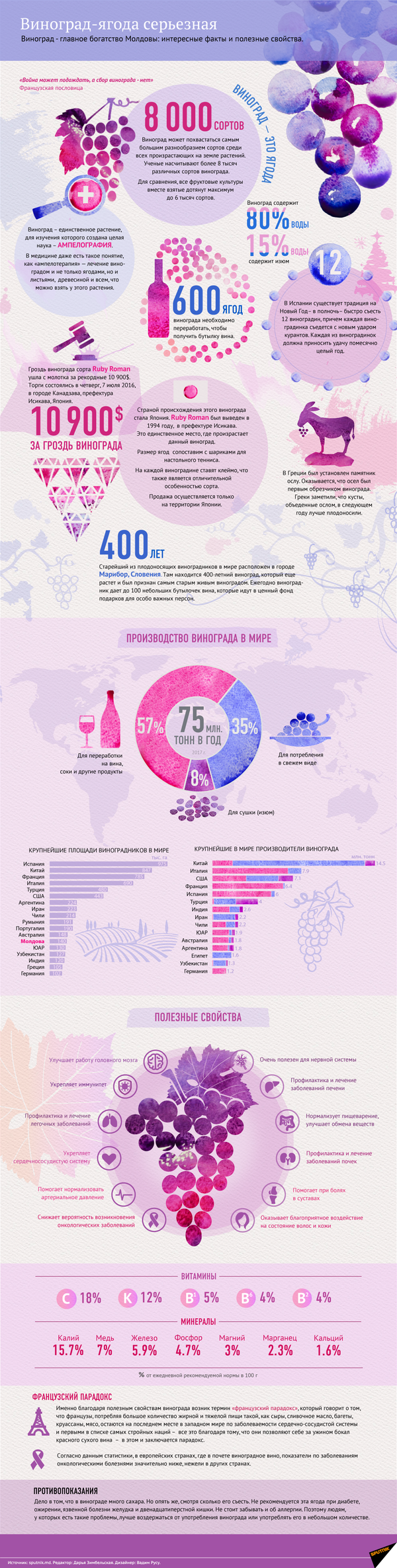 Польза и вред винограда – инфографика на sputnik.by - Sputnik Беларусь