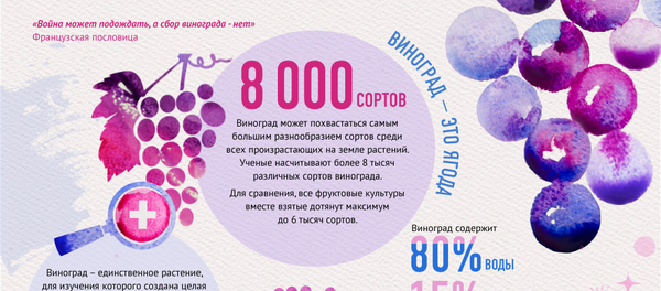 что делать если съел немытый фрукт. Смотреть фото что делать если съел немытый фрукт. Смотреть картинку что делать если съел немытый фрукт. Картинка про что делать если съел немытый фрукт. Фото что делать если съел немытый фрукт
