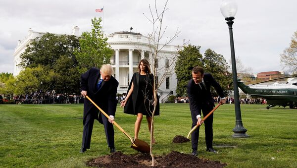Трамп и Макрон садят дерево - Sputnik Беларусь