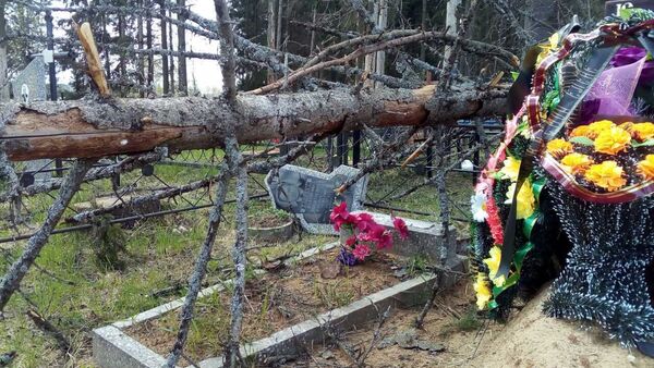 Сельское кладбище под Могилевом превратилось в бурелом - Sputnik Беларусь