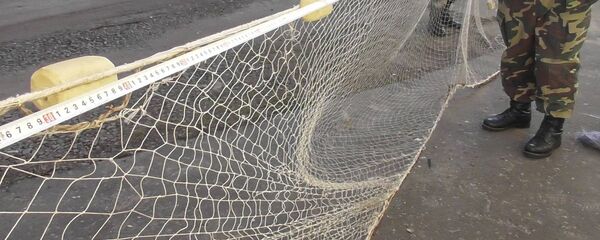Рыболовная сеть - Sputnik Беларусь