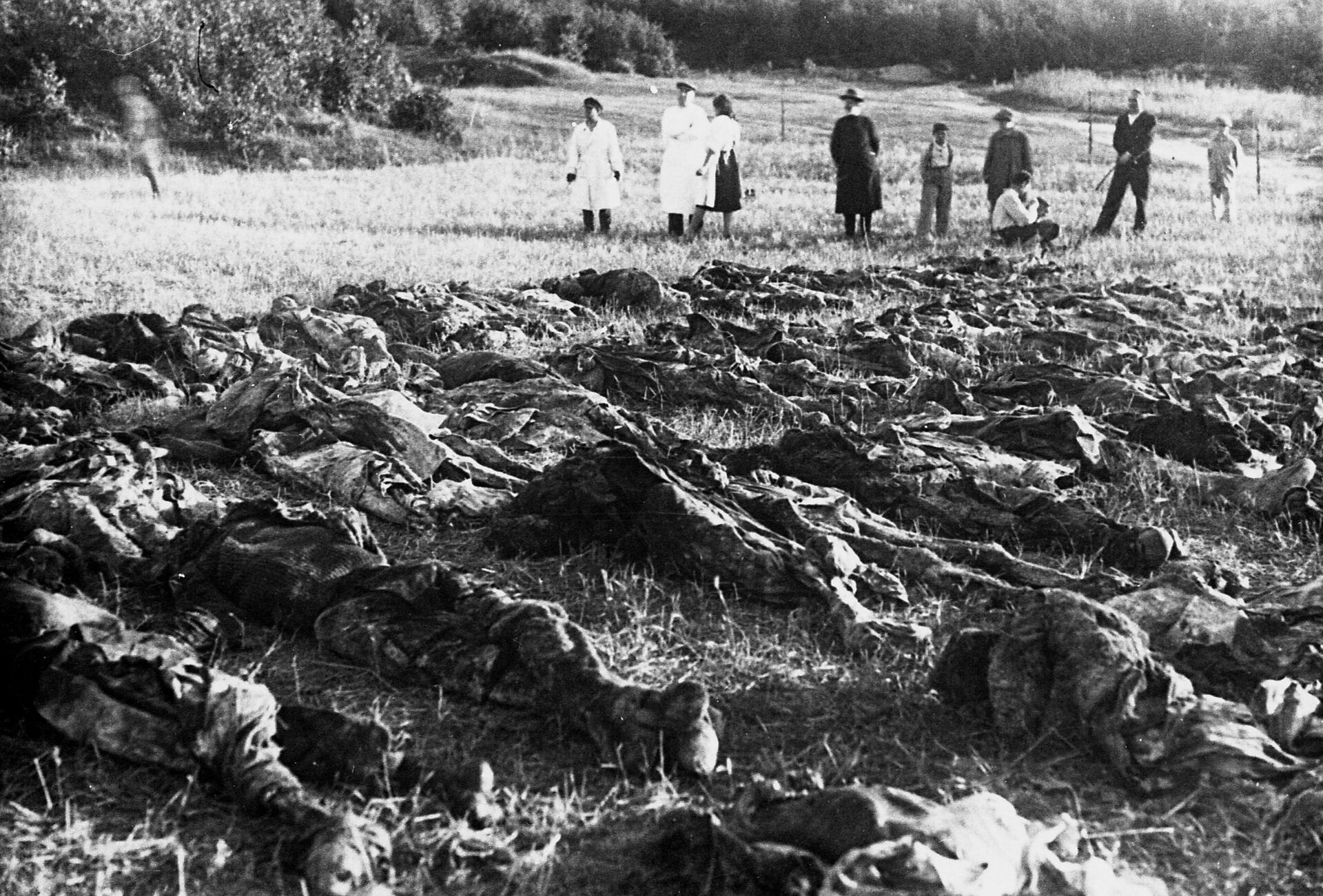 Расследованием преступлений фашизма в 1944 году занималась специальная комиссия, для ее работы были вскрыты огромные братские могилы - Sputnik Беларусь, 1920, 01.07.2021