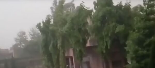 Очевидцы сняли кадры мощной песчаной бури на севере Индии - Sputnik Беларусь