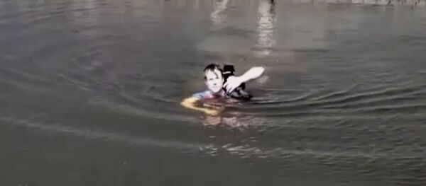 Мужчина спас застрявшего посреди водоема кота Мужчина спас застрявшего посреди водоема кота - Sputnik Беларусь