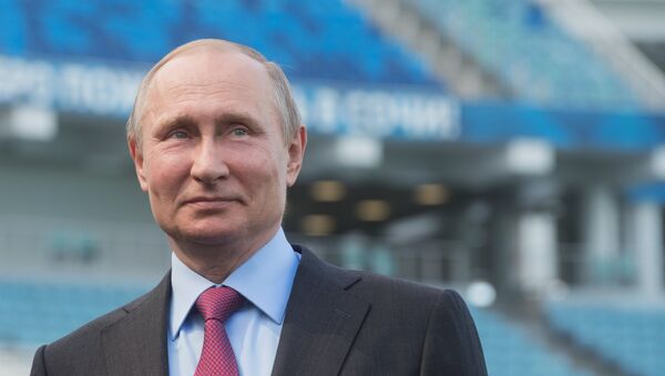 Президент РФ Владимир Путин во время осмотра стадиона Фишт - Sputnik Беларусь