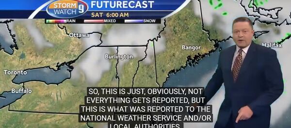 Собака застала врасплох ведущего прогноза погоды - Sputnik Беларусь