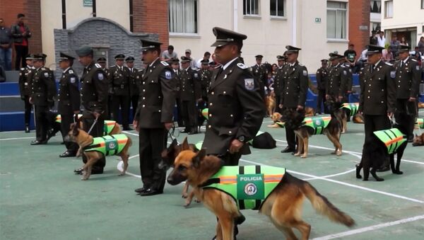 Почетные проводы полицейских собак в Эквадоре - Sputnik Беларусь