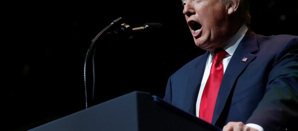 Президент США Дональд Трамп - Sputnik Беларусь