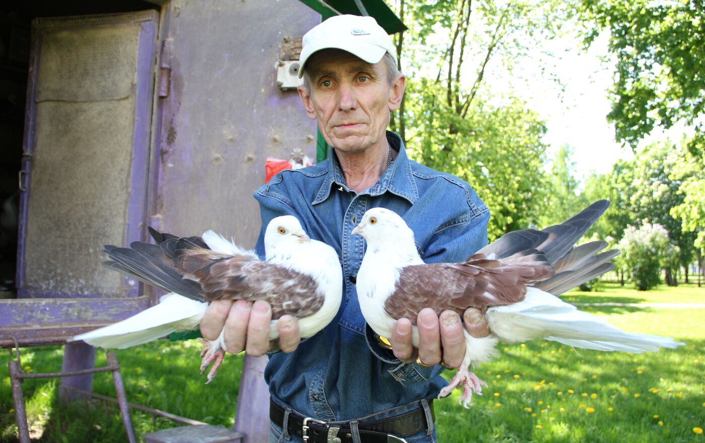 Голубевод из Минска: через 20 лет в городах совсем не останется голубятен -  13.05.2018, Sputnik Беларусь