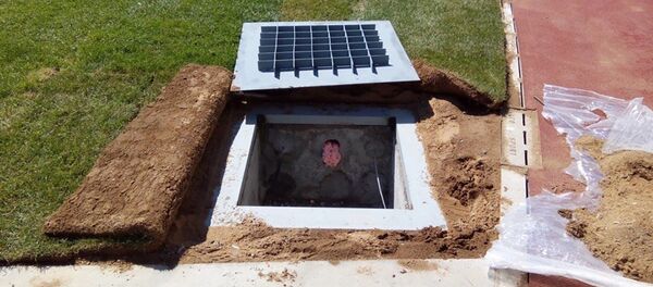 На стадионе Динамо уложили газон На стадионе Динамо уложили газон - Sputnik Беларусь