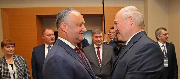 Александр Лукашенко и Игорь Додон на встрече в Сочи - Sputnik Беларусь