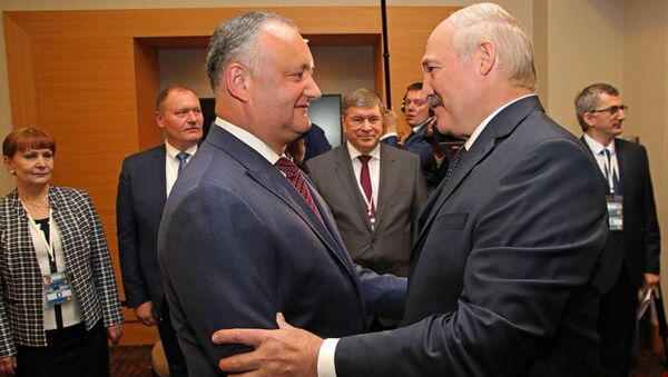 Александр Лукашенко и Игорь Додон на встрече в Сочи - Sputnik Беларусь