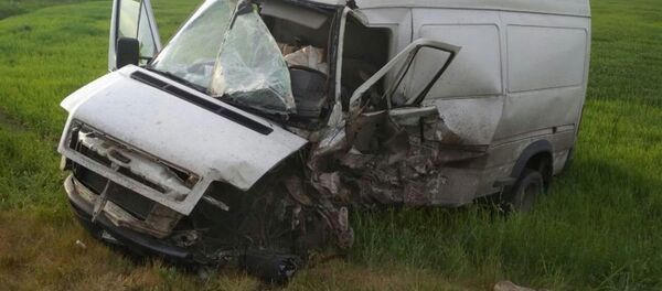 В результате ДТП в Столинском районе пострадали водитель микроавтобуса и двое малолетних детей - Sputnik Беларусь