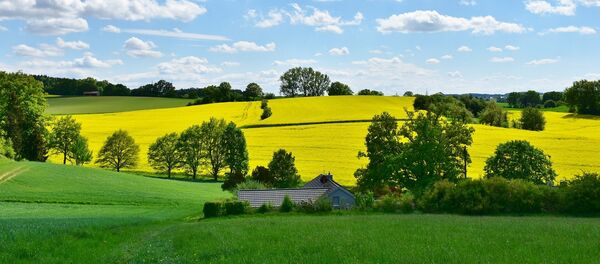 Палі ўвесну - Sputnik Беларусь