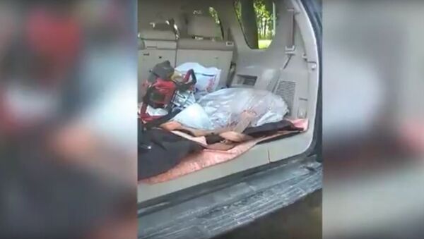Мужчина на внедорожнике перевозил раненую косулю, видео - Sputnik Беларусь